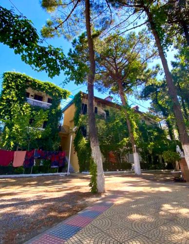 Velipoje Hotel | Hotel Andrea