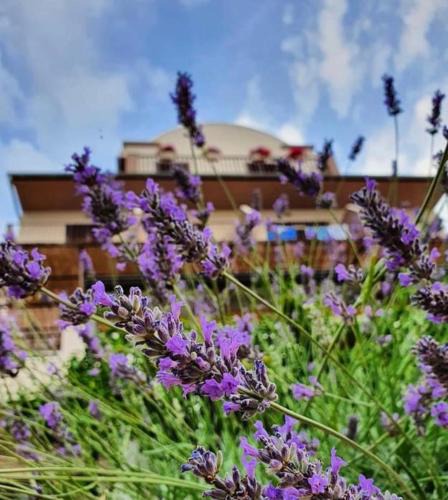 Milna Bed & Breakfast | Hotel B&B CHAMBERLAIN