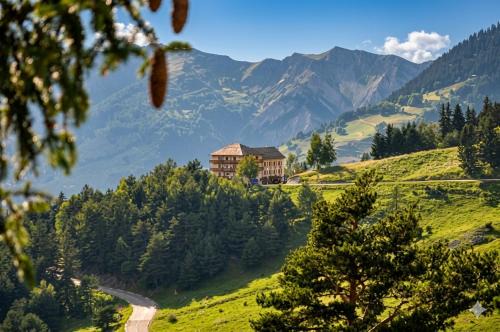 Seez House | Hotel Belvedere