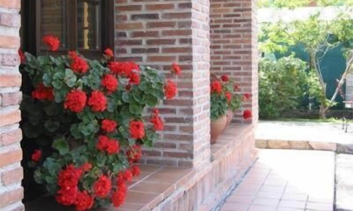 Mestas Hotel | Hotel Benzúa
