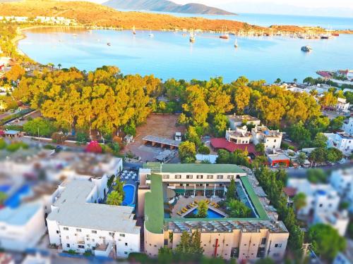 Gumbet Hotel | Hotel Bleu Nuit