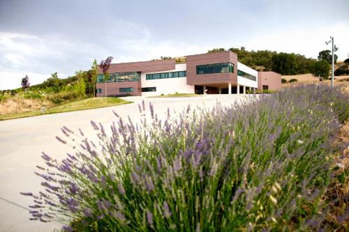 Pedrosa de Duero Hotel | Hotel Bodegas Traslascuestas - GRUPO PIÉROLA