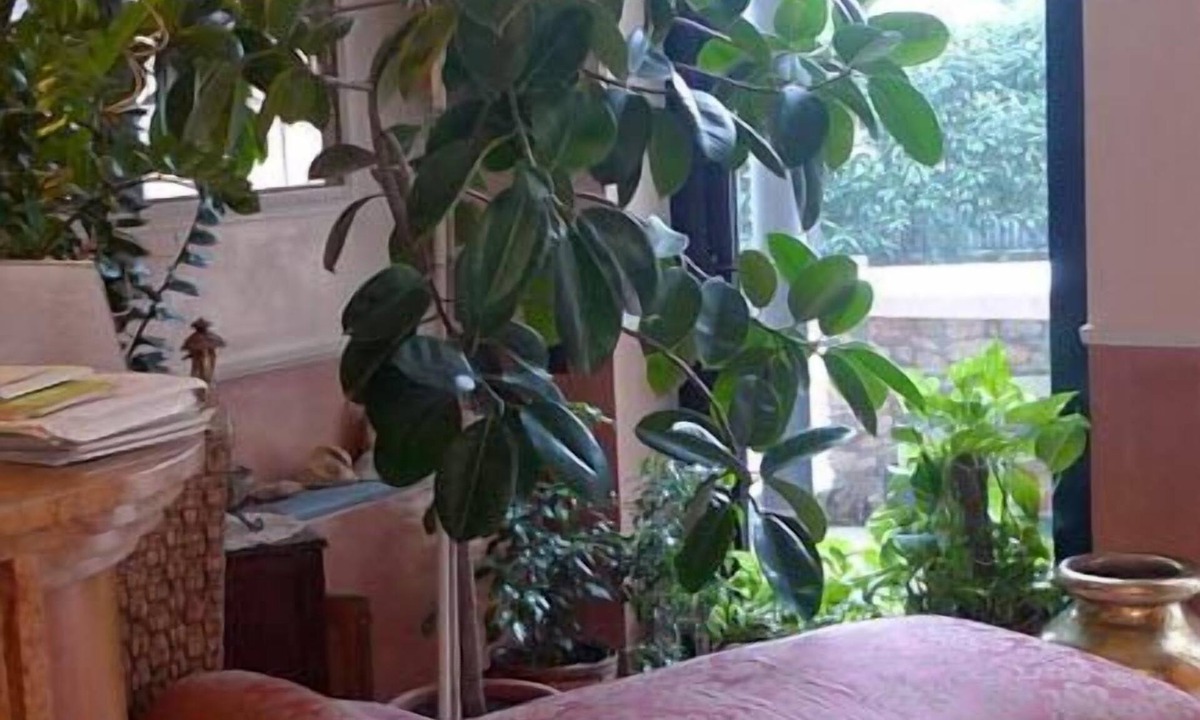 Nord-Ovest Hotel | Hotel Borghetti