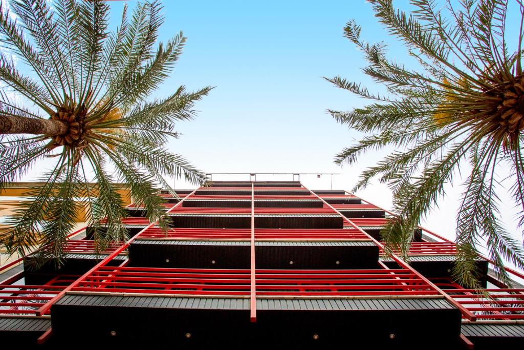 Gandia Hotel | Hotel Borgia