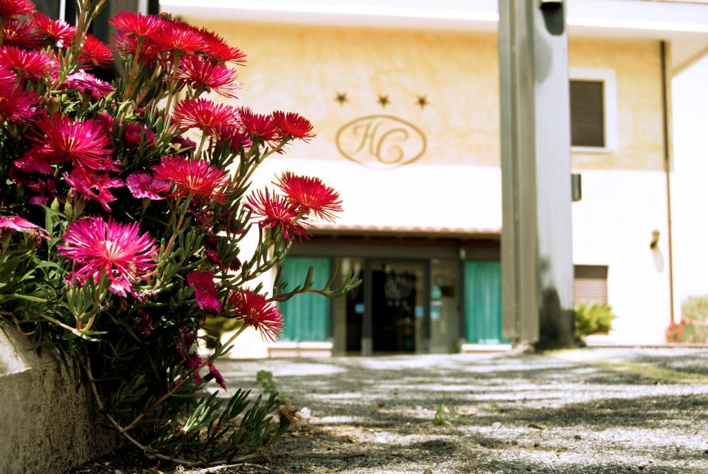 Ariccia Hotel | Hotel California