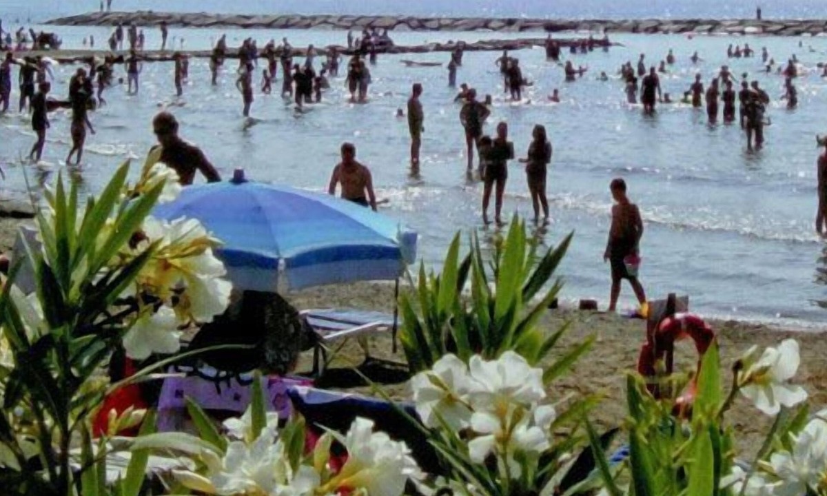 Diano Marina Hotel | Hotel Candido