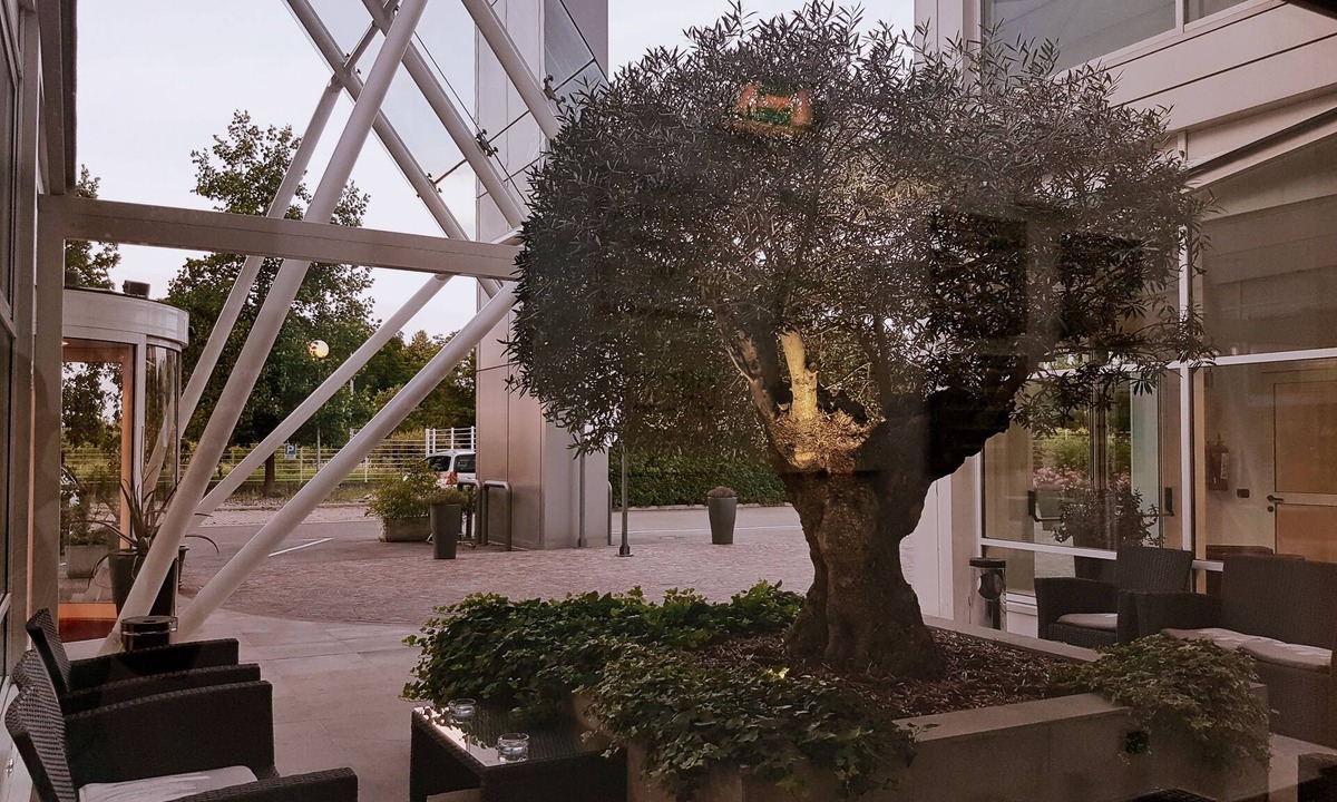 Gargallo Hotel | Hotel Carpi
