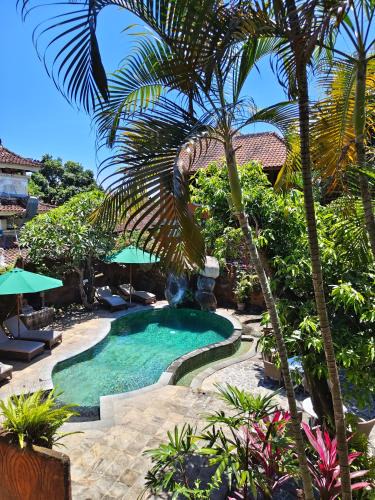 Lovina Hotel | Hotel Chonos