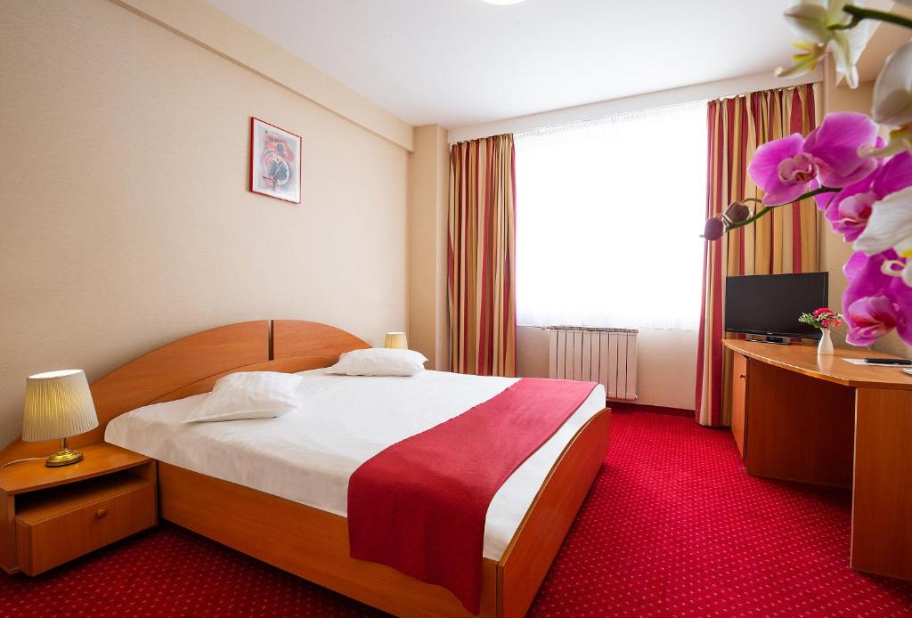 Satu Mare Hotel | Hotel Dana