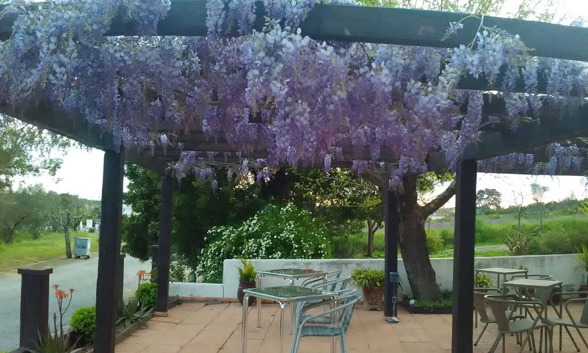Monfortinho Hotel | Hotel das Termas