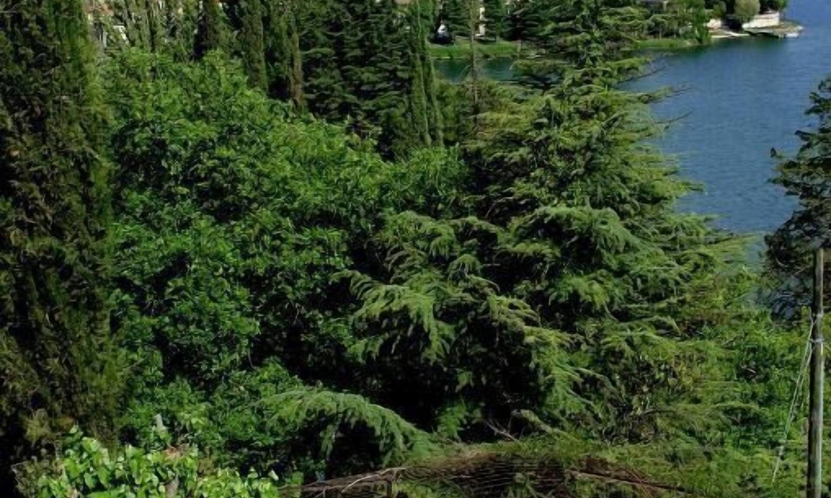 Piediluco Hotel | Hotel Del Lago 1934 & SPA