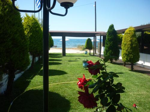 Tsoukalaiika Apartment | Hotel Dimitra