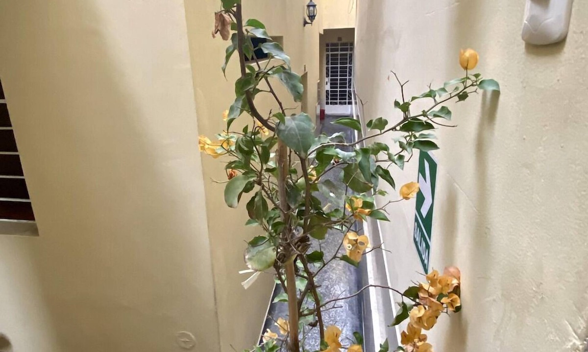 Jesus Maria Hostel | hotel don alberto