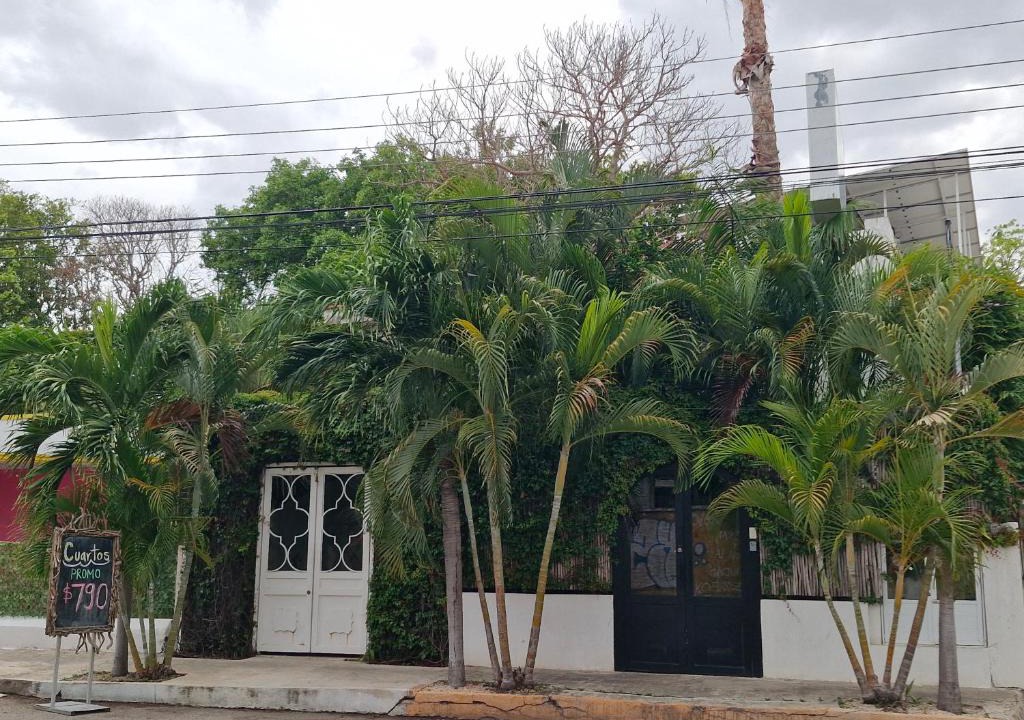 Merida Hotel | Hotel Downtown Merida