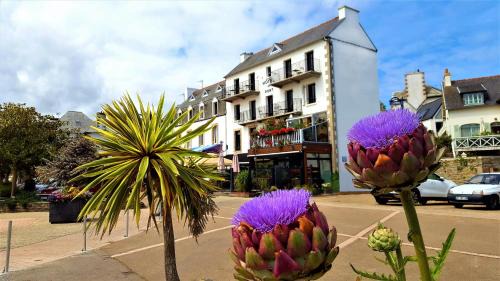 Locquirec Hotel | Hotel du port