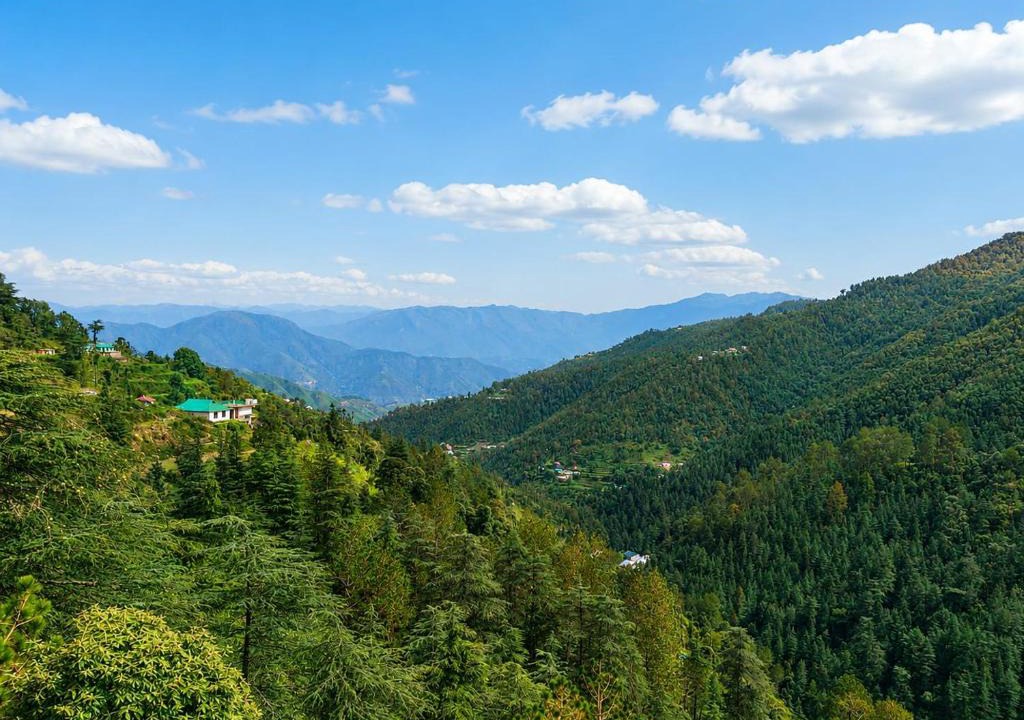 Chail Resort | Hotel Hill