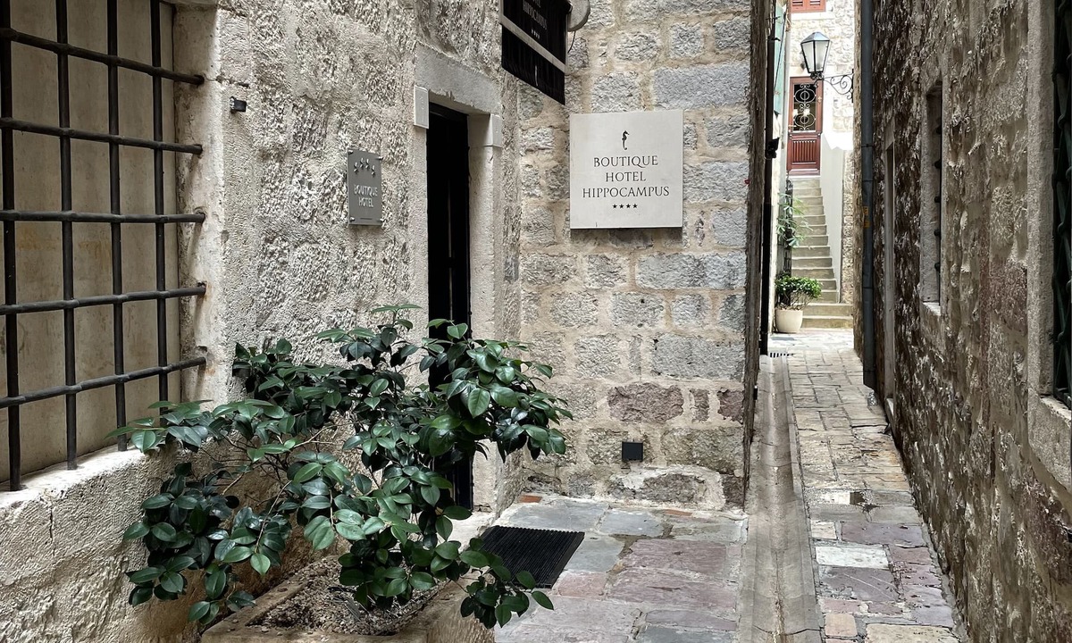 Kotor Old Town Hotel | Hotel Hippocampus