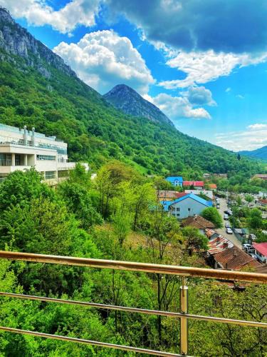 Baile Herculane Hotel | Hotel International