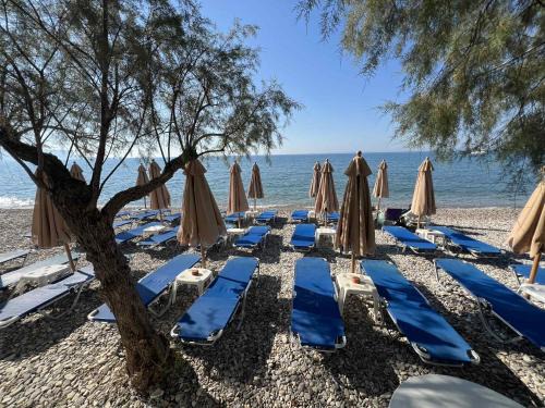 Potokaki Hotel | HOTEL KATERINA