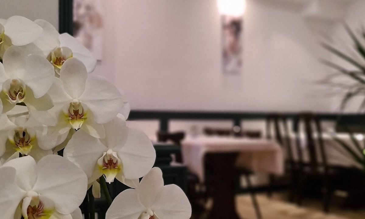 Berg Hotel | Hotel Lamm