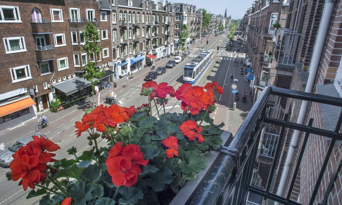 Kinkerbuurt Hotel | Hotel Larende