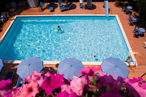 Martinsicuro Hotel | Hotel Leuco'