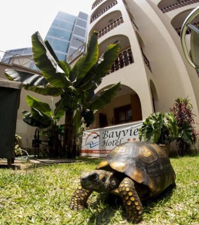 Armendariz Hotel | Hotel Lima Bayview Miraflores