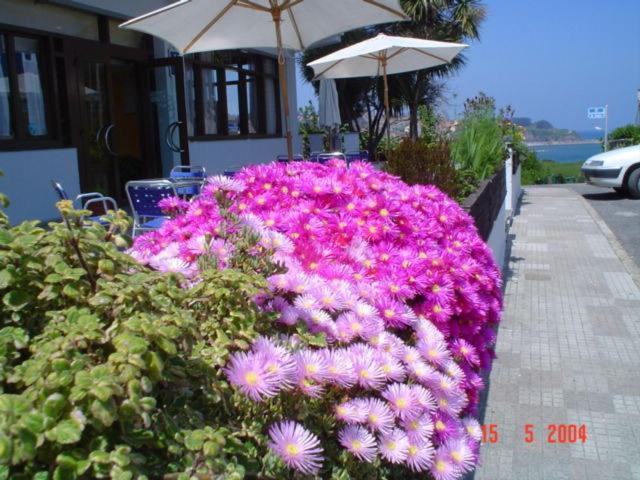 Luanco Hotel | Hotel Los Laureles