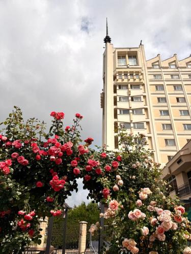 Baia Mare Hotel | Hotel Mara
