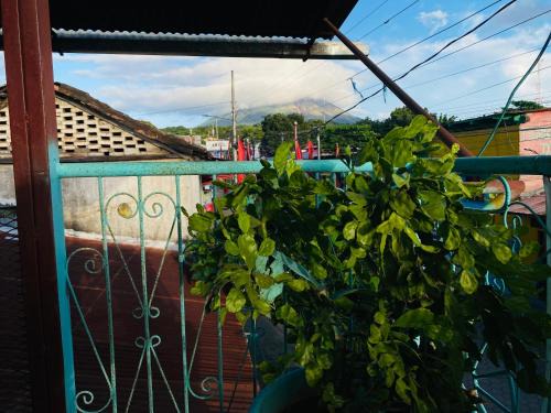 Moyogalpa Hotel | Hotel My Isla Bonita