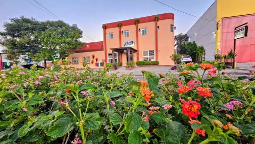 Centenario Hotel | Hotel Niro
