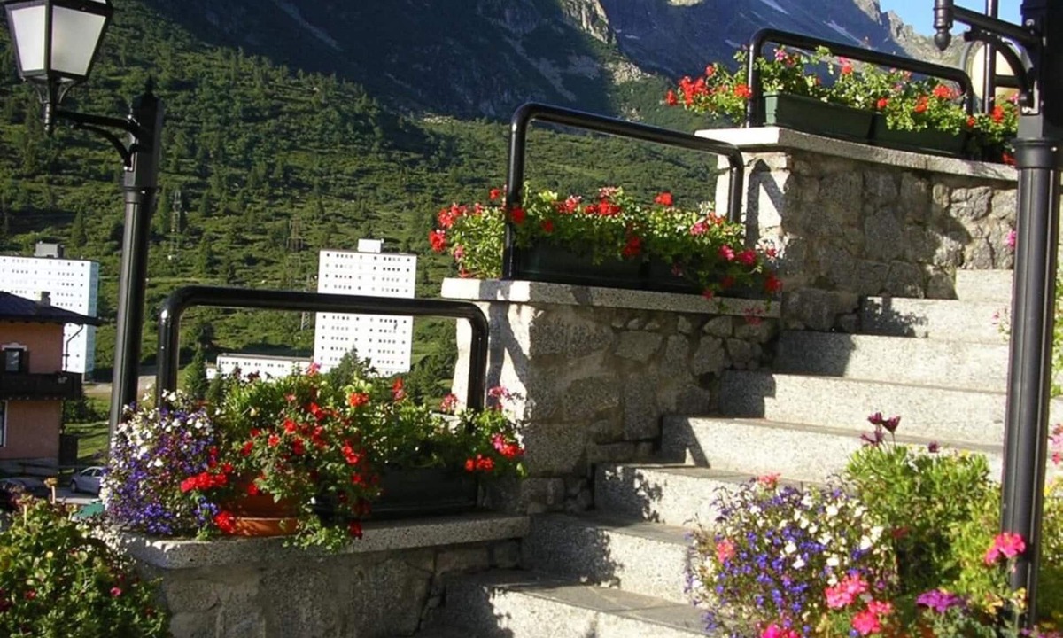 Passo del Tonale Hotel | Hotel Orchidea