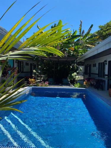 Jaco Hotel | Hotel Perico Azul & Surf Camp