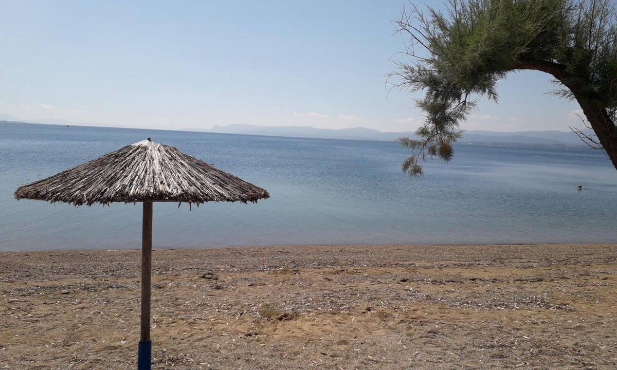 Lefkandi House | Hotel Poseidon