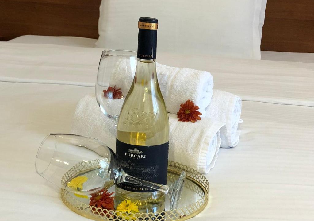 Botosani Hotel | Hotel Premier Botosani