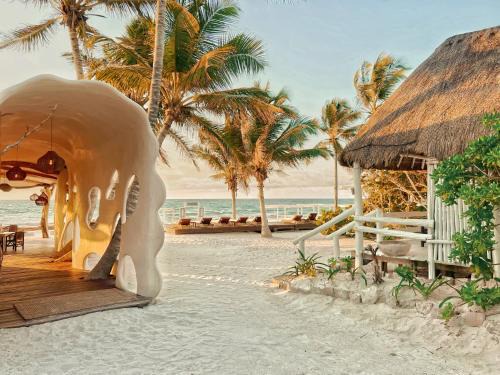 Zona Hotelera Hotel | Hotel Qamar