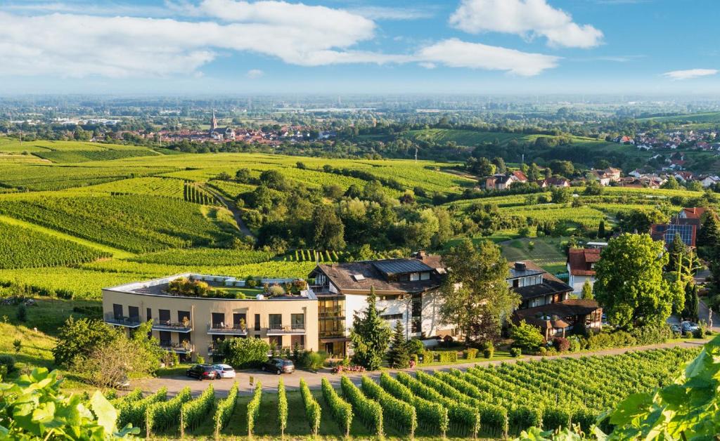 Steinbach Hotel | Hotel Rebenhof
