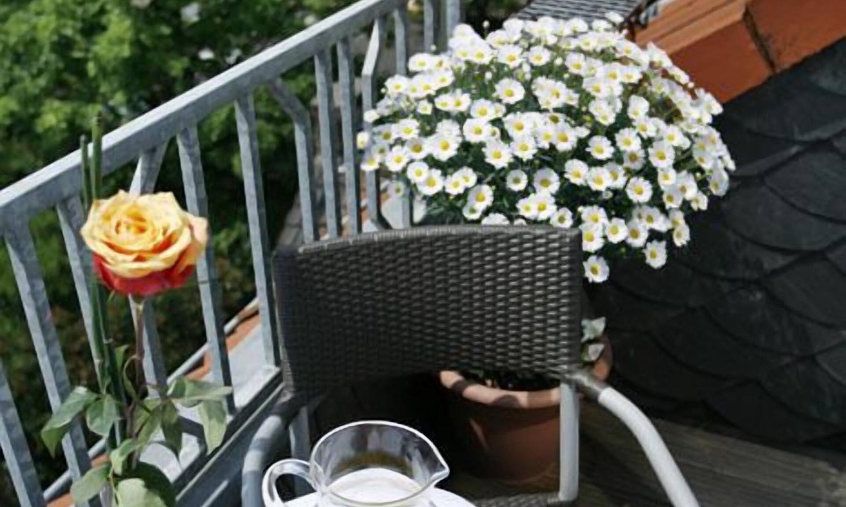 Ehrenfeld Bed & Breakfast | Hotel Regina