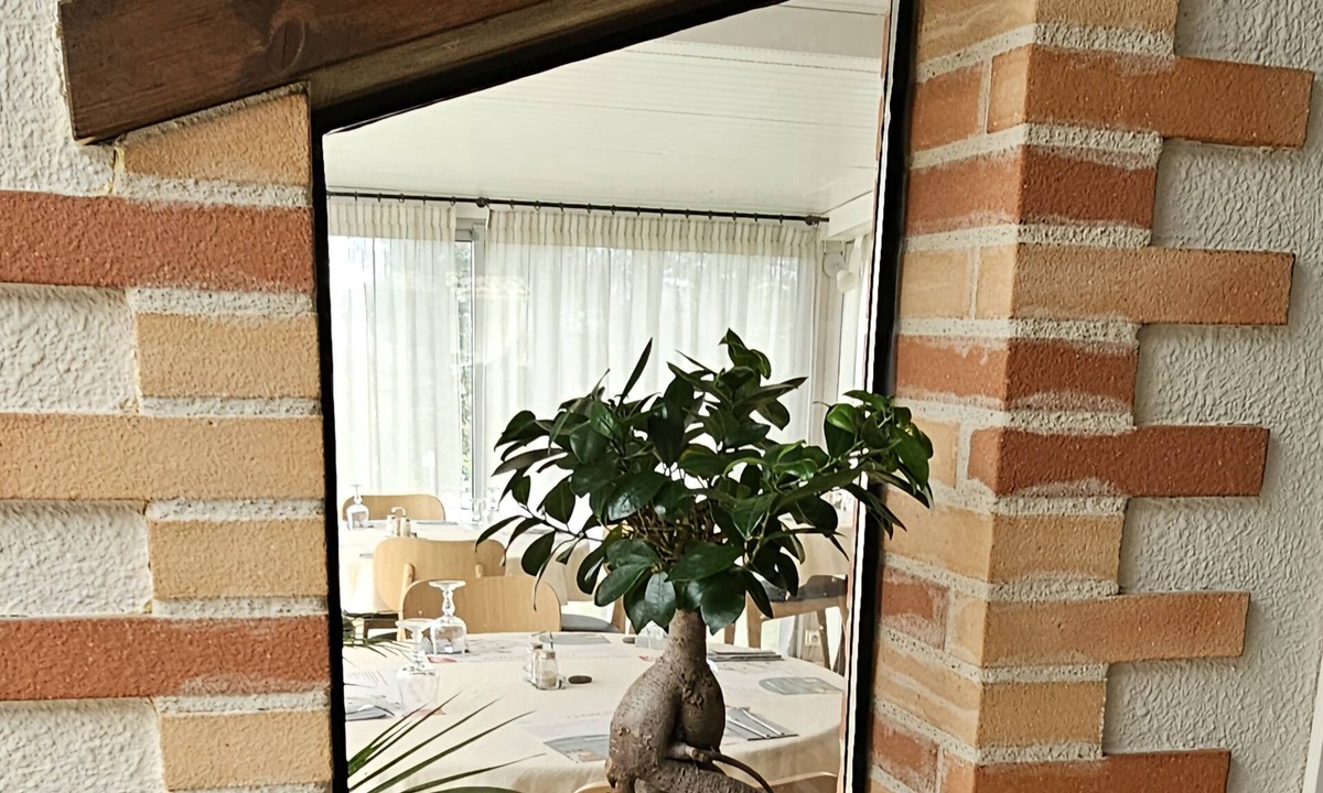 Graulhet Hotel | HOTEL RESTAURANT DU LAC