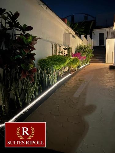 Cordoba Hotel | Hotel Ripoll Córdoba