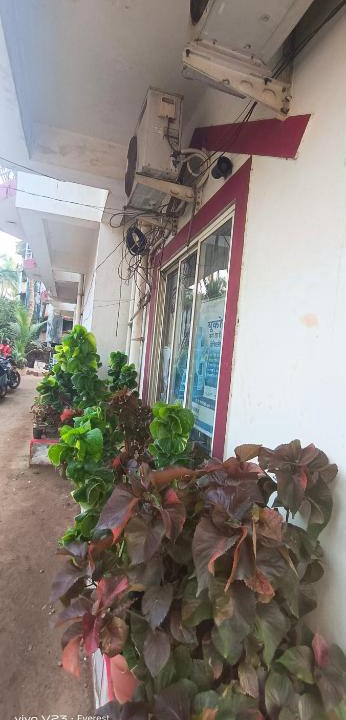 Devbag Hotel | Hotel S King