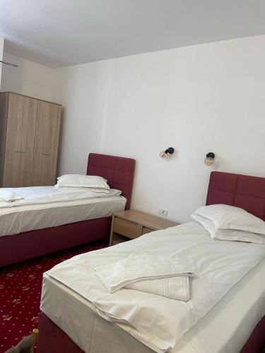 Buzias Hotel | Hotel Silvana