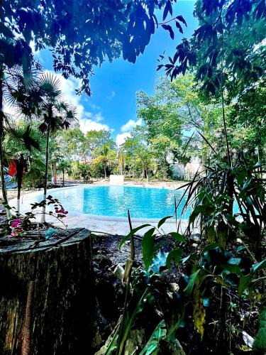 Puerto Morelos Hotel | Hotel Tequila Cancun