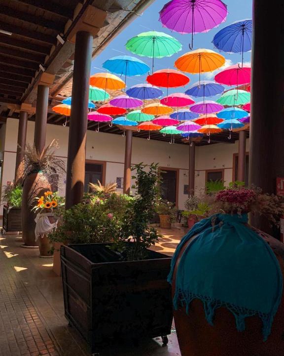 Centro Hotel | Hotel Villa de Flores