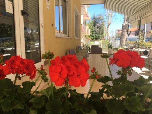 Viserbella Hotel | Hotel Villa Rinaldini