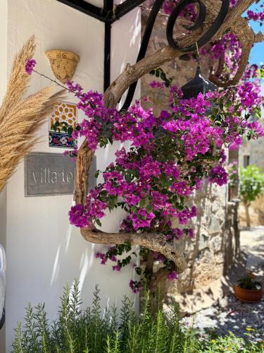 Datca City Center Hotel | Hotel Villa Tokur