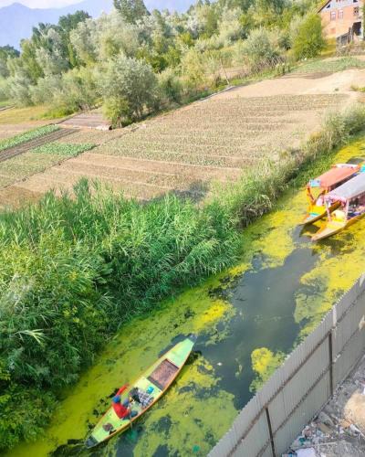 Dal Lake Apartment | Hotel white night
