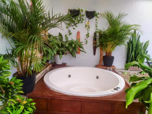 Salento Apartment | HOUSE IBIS Salento