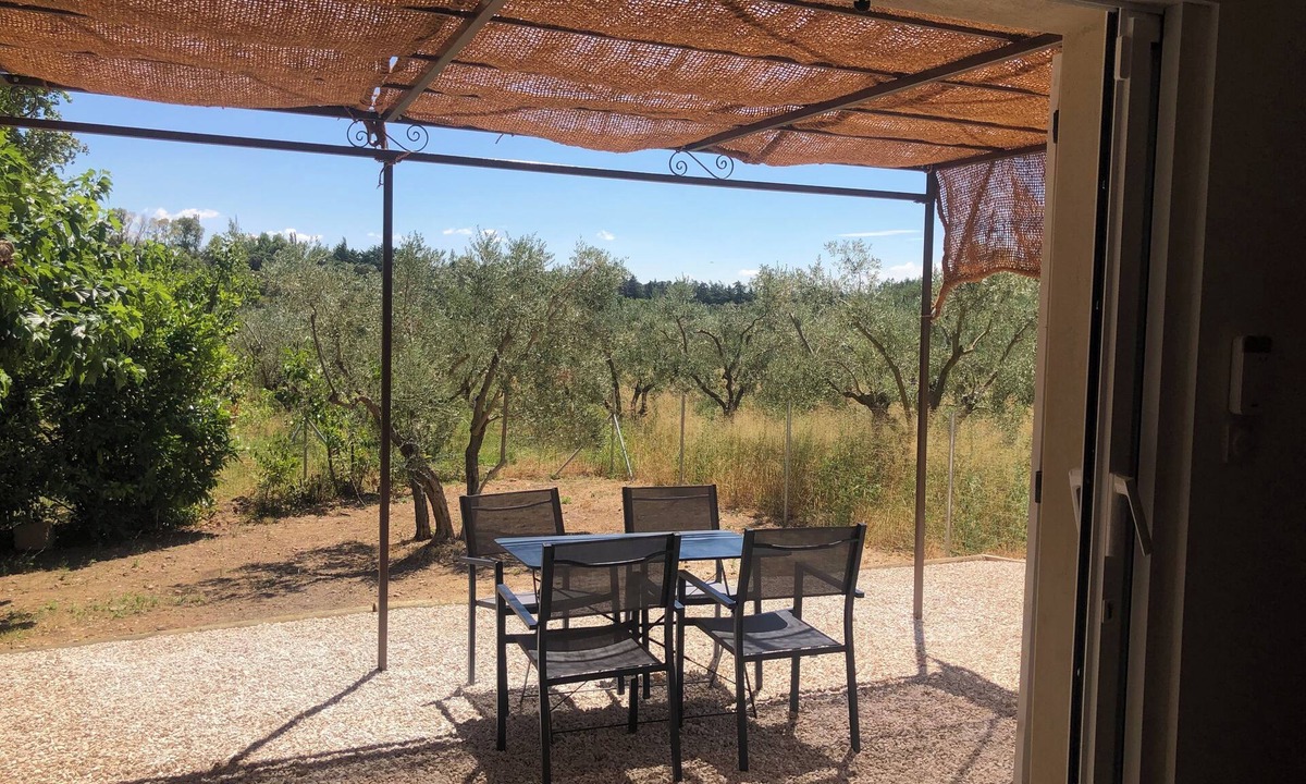 Aureille House | House surrounded by olive trees.