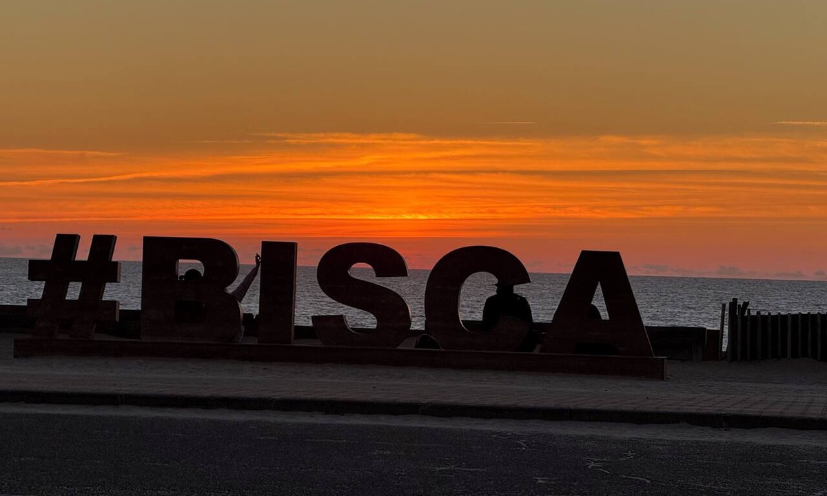 Biscarrosse House | House/Villa - Biscarrosse